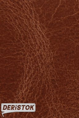 Baby Buffalo Deri