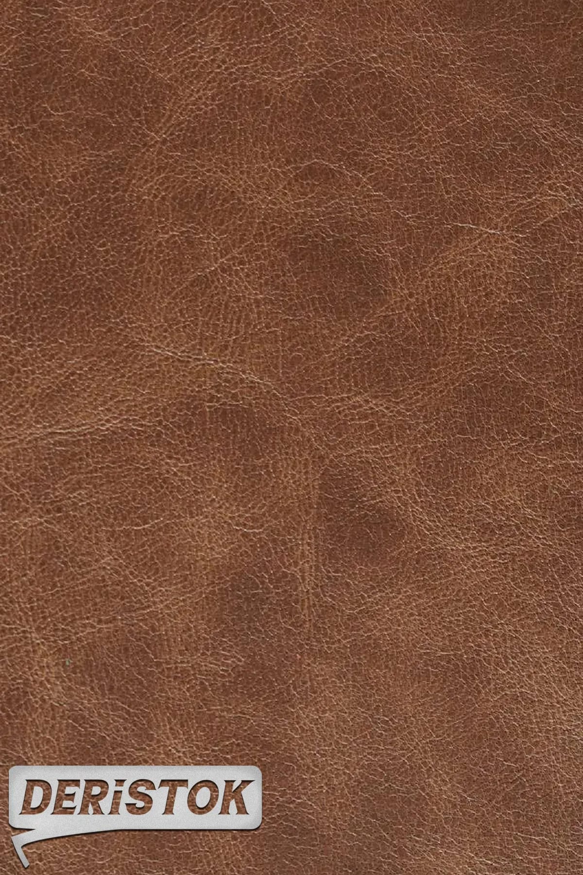 Manda Derisi Baby Buffalo Taba - 1