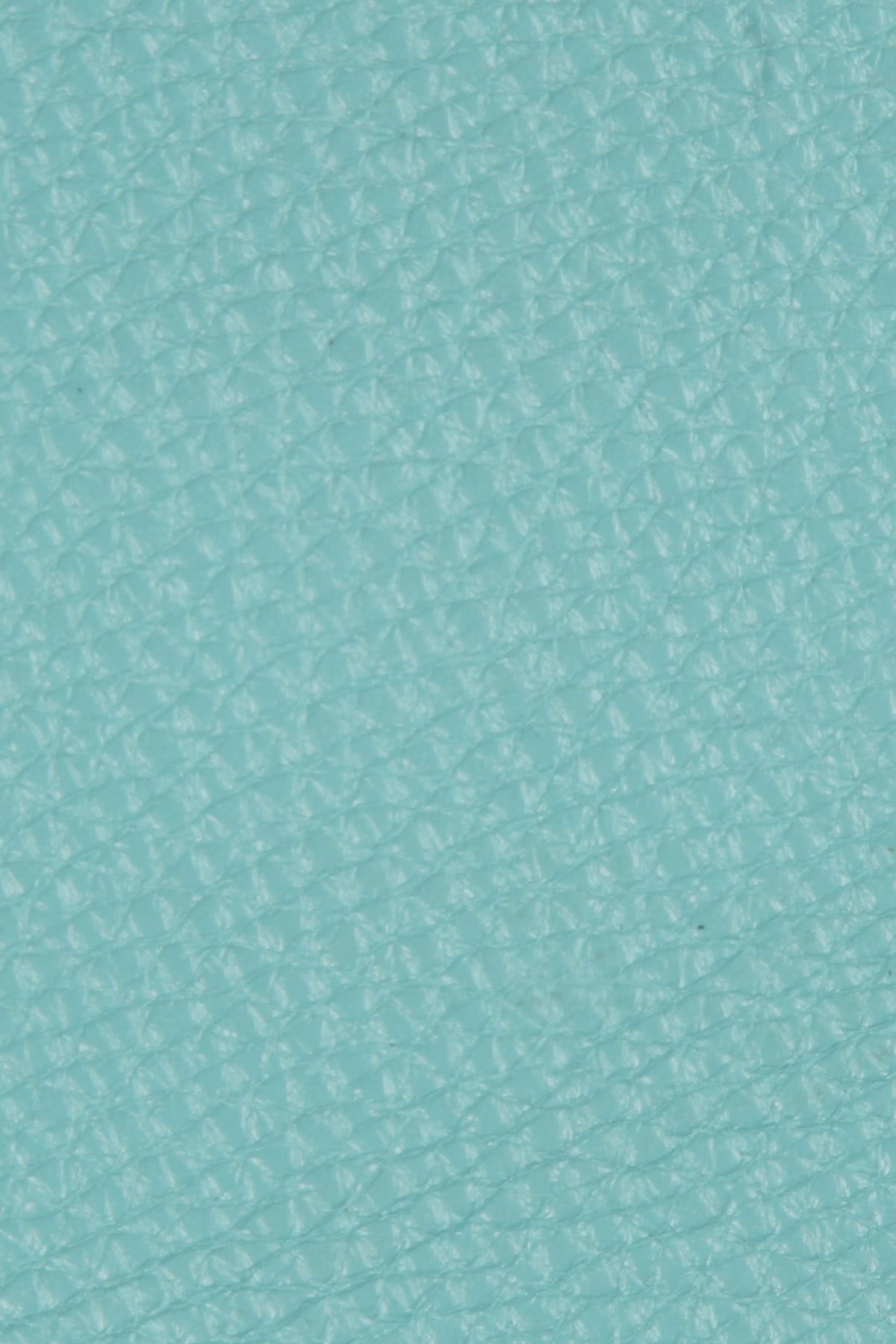 Dana Derisi Flotter Opak Camgöbeği - 1