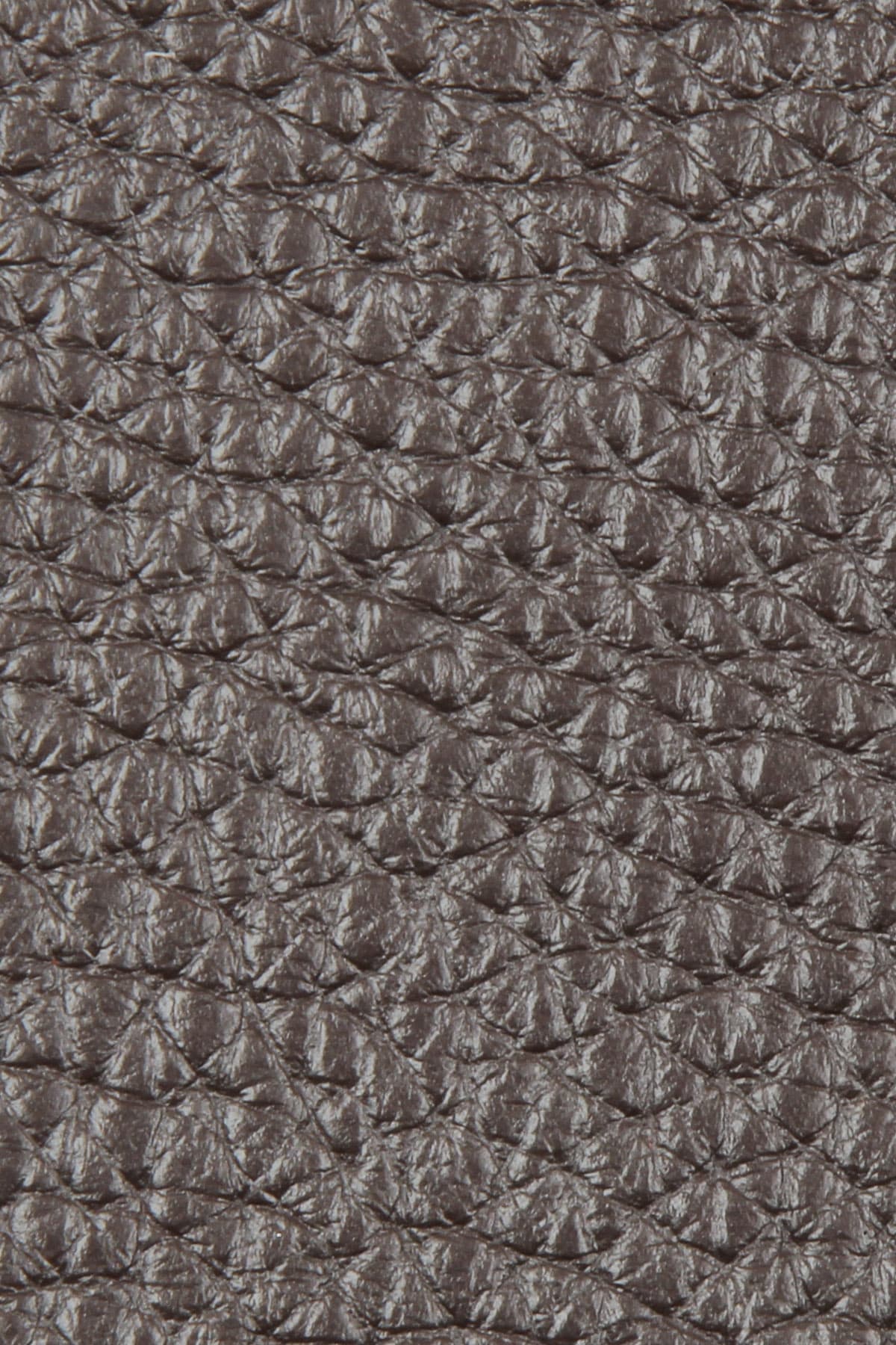 Dana Derisi Flotter Savaş Grisi