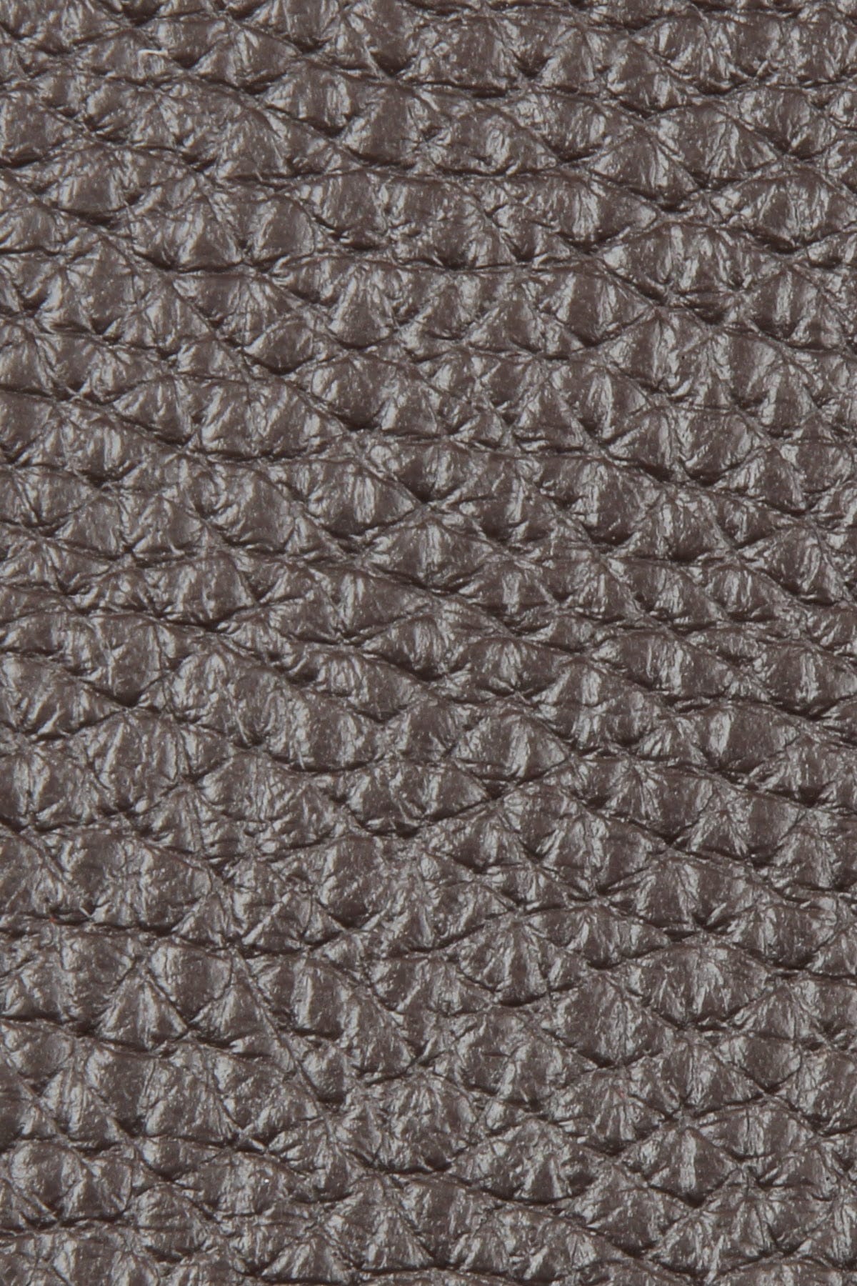 Dana Derisi Flotter Savaş Grisi - 1