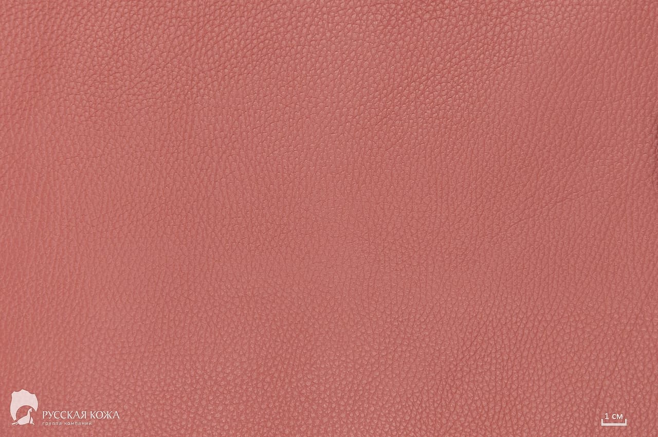 Dana Derisi Flotter Tozlu Gül