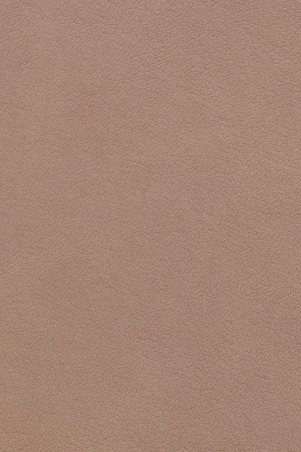 Dana Derisi Napa Yakma Soluk İstiridye - 1