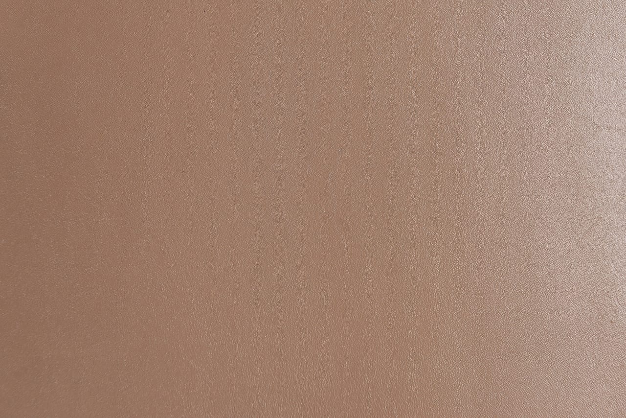 Dana Derisi Softy Soluk İstiridye - 1