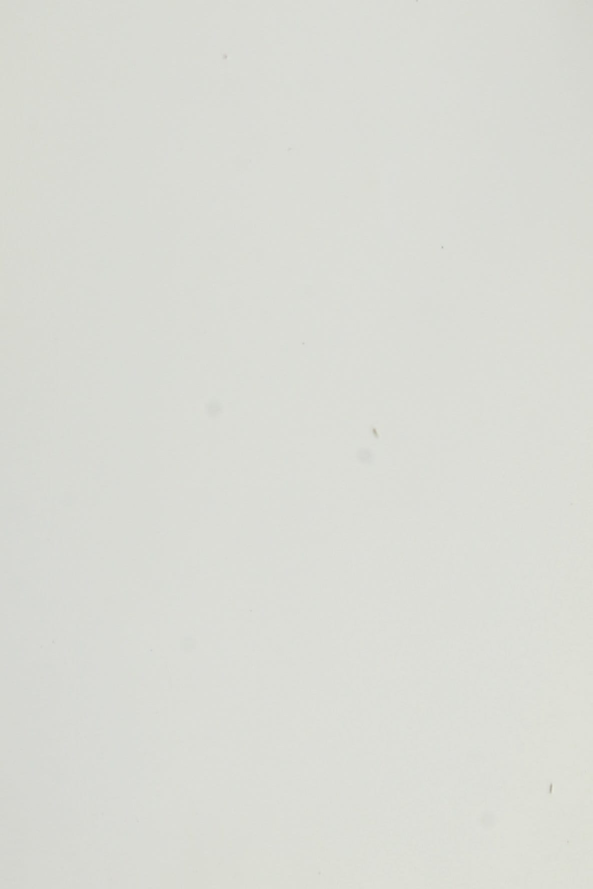 Dana Supozulato Açık Gri - 1