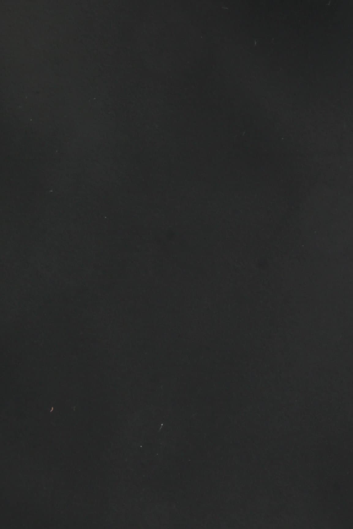 Dana Supozulato Baltık Denizi