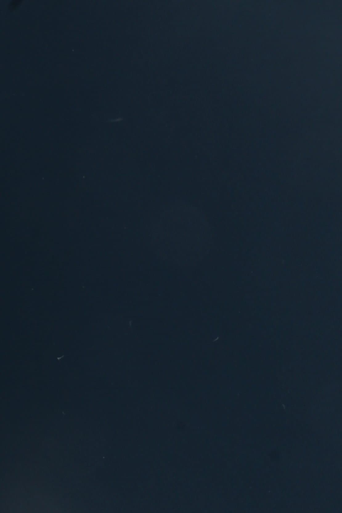 Dana Supozulato Koyu Orman Yeşili