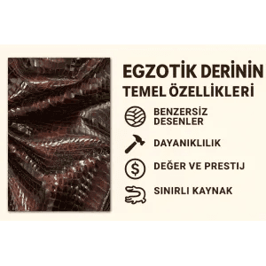 Egzotik Deri Hakkında Bilinmesi Gerekenler