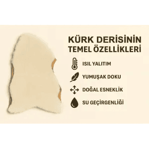 Kürk Hakkında Bilinmesi Gerekenler